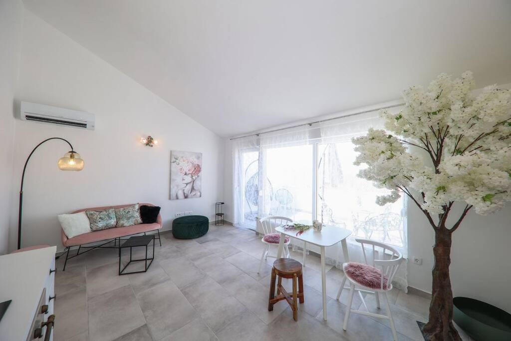 Fiorino Apartma *