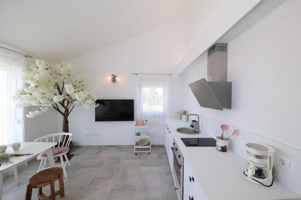 Fiorino Apartma Zadar